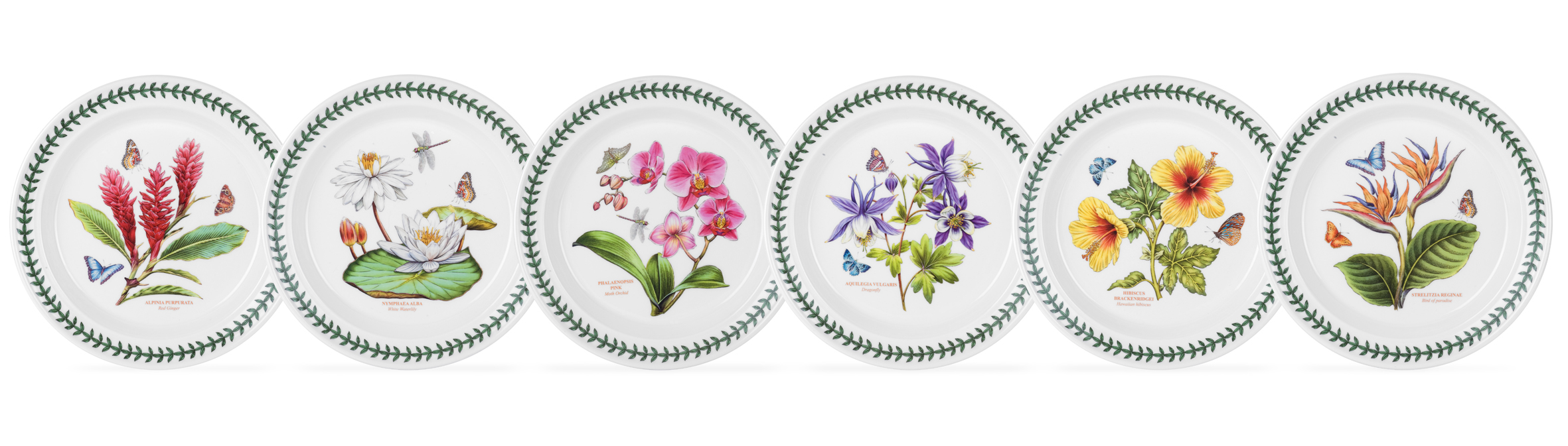 Exotic Botanic Garden Dinner Plates Set